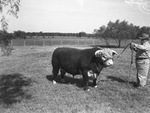 Jinkins and Jinkins Hereford Ranch by Frank Reeves Sr.