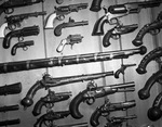 Gunroom, showing interesting contrasts in types of guns