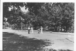 Three men playing croquet in Sycamore Park