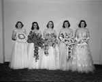 The Assembly, five of eleven debutantes