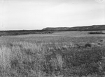 View, Texas in Taylor County, site for Forty-fifth Division training by Paul McAllister