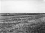 View, Texas in Taylor County, site for Forty-fifth Division training