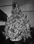 Hemphill Presbyterian Church Christmas tree