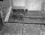 Military training at Camp Bowie, Brownwood, Texas, World War II; muddy overshoes on steps of one of the camp mess halls