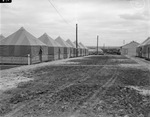 Military training at Camp Bowie, Brownwood, Texas, World War II; rows of tents in the 111 Quartermaster Regiment area at the 36th Division training center