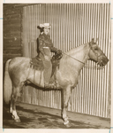 Duke of Belvedere, ridden by Peggy Markum, Southwestern Exposition and Fat Stock Show