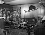 Den And Trophy Room