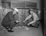Officers examining traffic tickets fines scattered by Mansfield Mayor Roland A. Turck