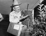 Paul Carpenter holding swarm of bees on board