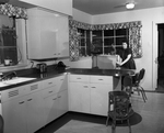 Interior decoration of kitchen of Elmo Webb home
