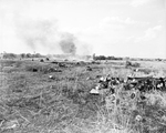 Wreckage of Superfortress B-29 plane near Carswell Air Force Base
