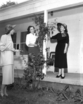 Three members of Forest Acres Garden Club