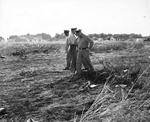 Wreckage of Superfortress B-29 plane near Carswell Air Force Base