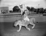 Blondie, Charles E. Hipp's 23-month-old African lioness by Joe McAulay