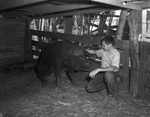 Glen Burns with his Duroc pig