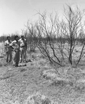 Ranch & Farm. Series on spraying mesquite from airplanes at Spur, Texas