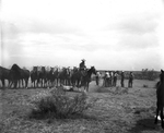 Ranch & Farm. Series on the giant Matador Ranch