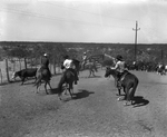Ranch & Farm. Series on the giant Matador Ranch