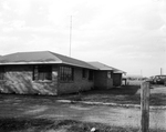 Ranch & Farm. Series on the R. A. Pittman registered Duroc Hog Farm in Denton County