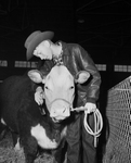 Kenneth Bruner and steer