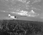 Warner L. Sailsbury, Lubbock crop duster