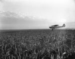 Warner L. Sailsbury, Lubbock crop duster