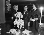 Mrs. J. Ernest Fender, Mrs. Carlisle Martin, and Mrs. Lubbock Davies of Enid, Oklahoma