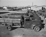 Idle trucks lined up during strike