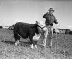 Coleman Livestock Show Winner by Roger Letz
