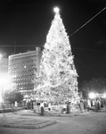 Lighted Christmas tree in Burk Burnett Park