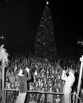 Christmas Festival Participants