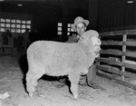 Brownwood Livestock Show by Roger Letz