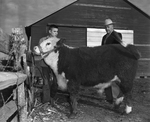 Ranch & Farm - Series on the Allan Farrar Family of Vernon