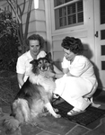Two unidentified women shown with collie dog