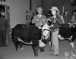 Southwestern Exposition and Fat Stock Show. Series on Amon Carter Jr. and Arthur Timm, shown with the grand champion steer, "Cross Bar Classic"