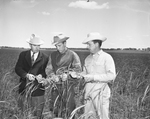 Arthur Courtade, Charley Bogart, and Walter Wilson