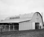 Pecan Acres Branch