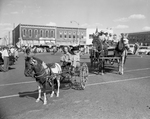 Weatherford, Texas. Parade opening Parker County Frontier Days Celebration and Rodeo