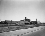 Burrus Mill Company