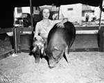 Aletha McGowan, of Keller Shown with Her Duroc Gilt Judged Champion