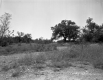 Site for Army Reserve Armory
