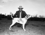 Fort Worth Pointer and Setter Dog Show field trial winner, Spunky