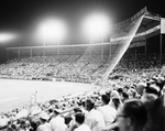1953 Record Crowd Present at Cat Game by Al Panzera