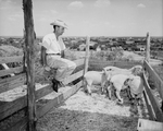 Coleman, Texas. Series on Coleman, Texas by Bob Bain