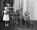 Elizabeth Scott Moncrief with weimaraners