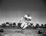 Arlington Heights Football Player by Al Panzera
