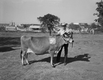 Arvill Newby of Springtown with his cow, Golden Premier Shy by Tom Milligan