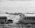 Buses operated by the county schools