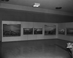 Wild Life Display Room