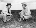 J. D. Worley and J. J. Kirchhoff in field by Frank Reeves